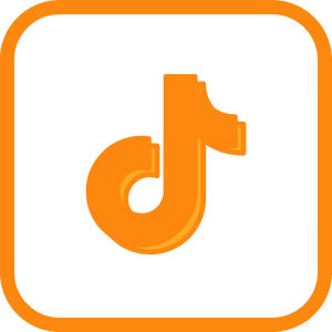 tiktok icon