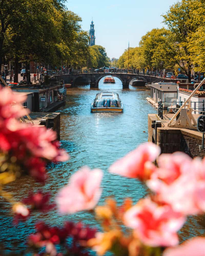 Amsterdam Canals with Flowers in Foreground