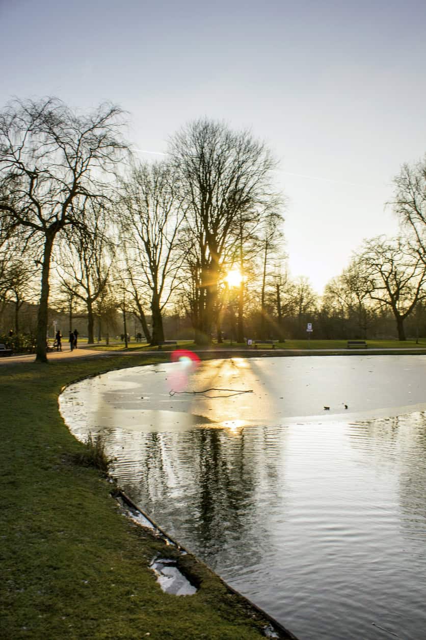 Scenic view of Uptown Hostel park with sunset, trees, and water feature in the background.