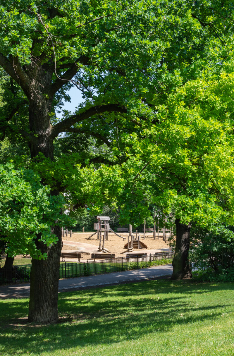 Playground in the park Volkspark Friedrichshain
