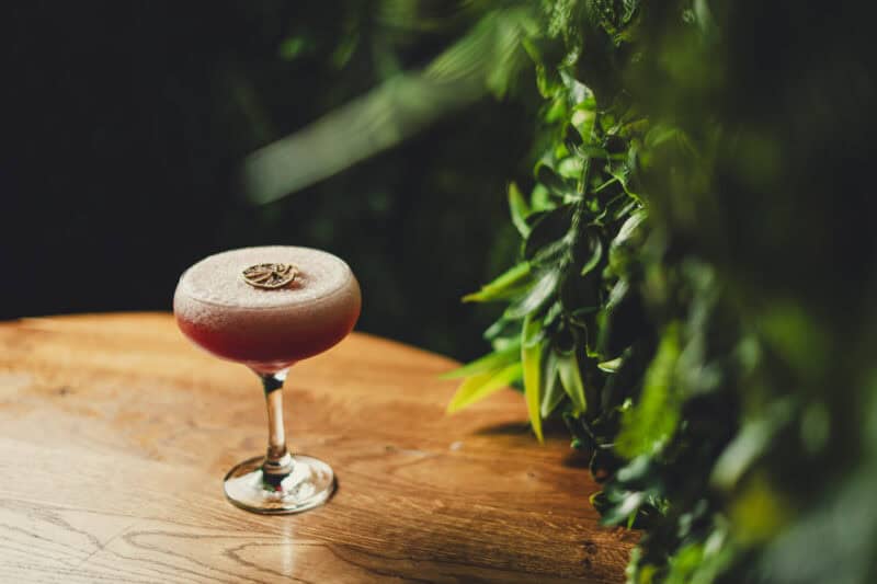 Elegant cocktail on a wooden table with greenery in the background at Mitte Hostel Berlin.