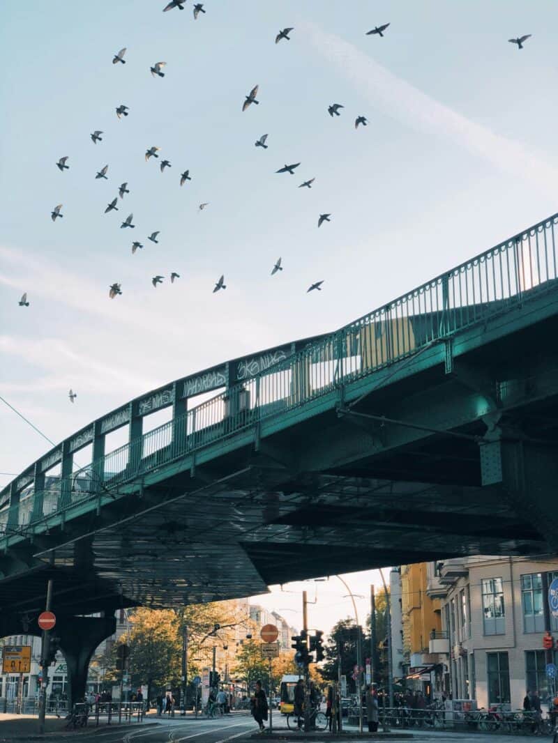 View of Berlin Mitte with a bridge and birds flying above, near St Christopher's Inns.