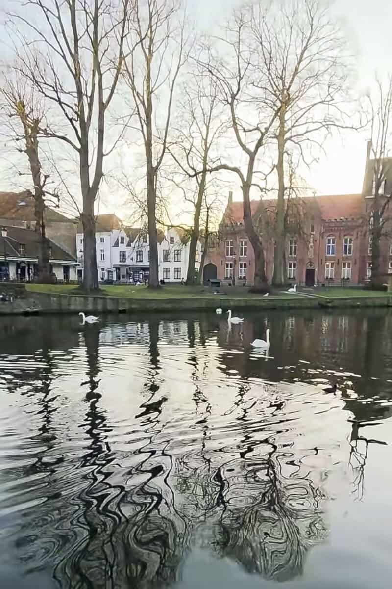 Secret Hidden Viewpoint Bruges