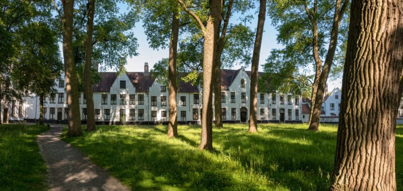 Bauhaus Hostel in Bruges surrounded by lush green trees and a peaceful park setting.