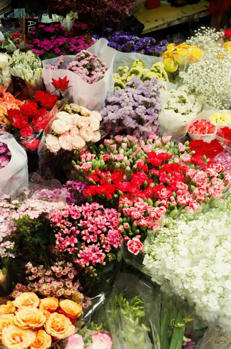 View of colourful flower market near St Christopher's Liverpool Street hostel in London.