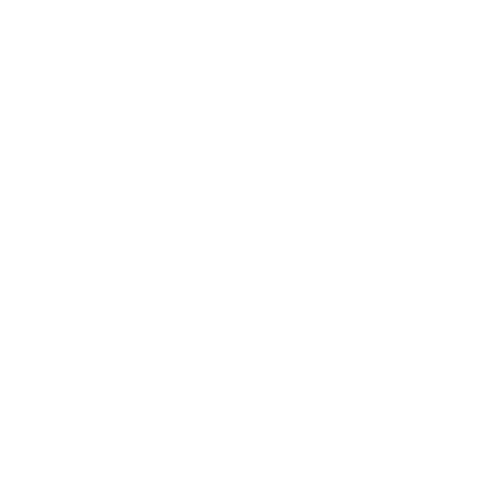 STC Pub Logo