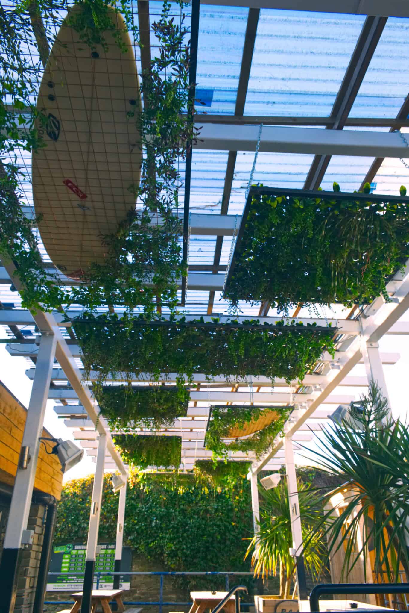 Indoor garden with hanging plants at St Christopher’s Newquay hostel.