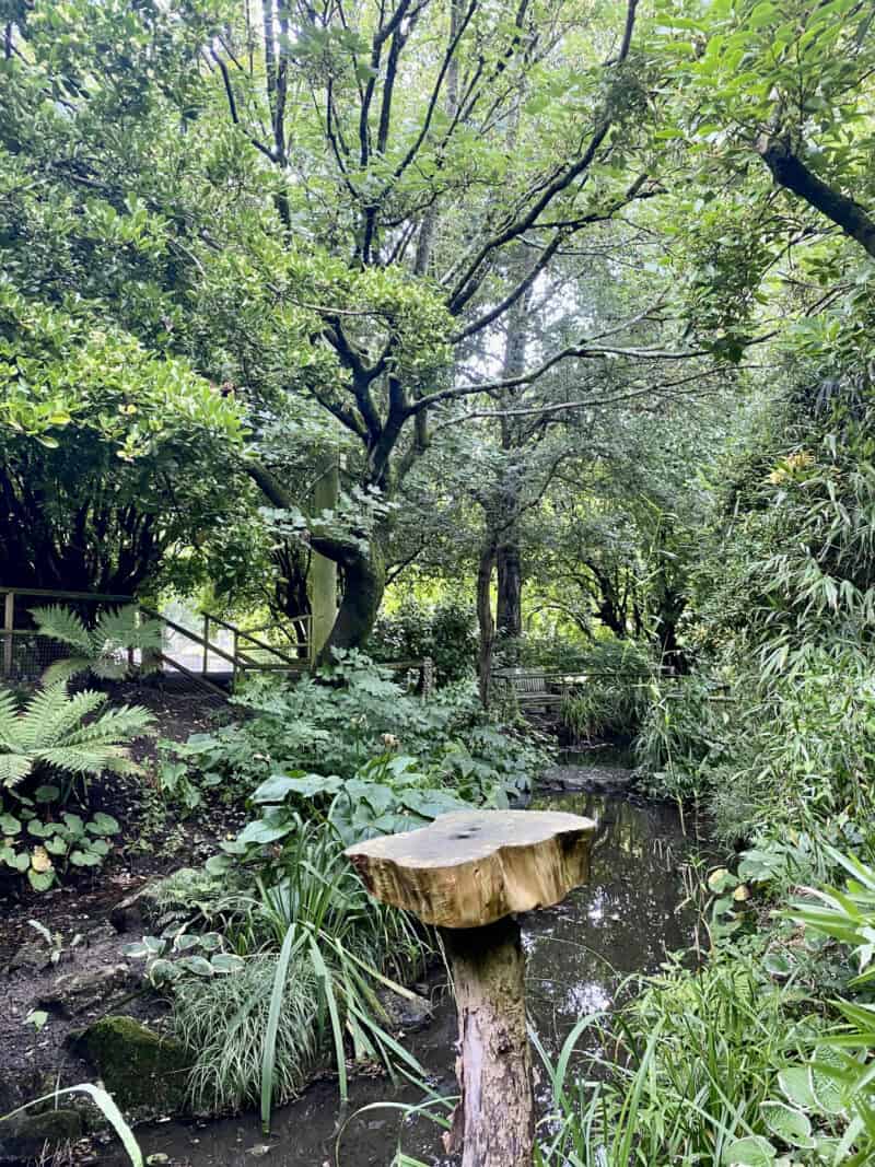 Natural Green Oasis Nature Area with Leaves Trees Shrubbery Vegetation at Newquay Zoo in Cornwall, England, United Kingdom