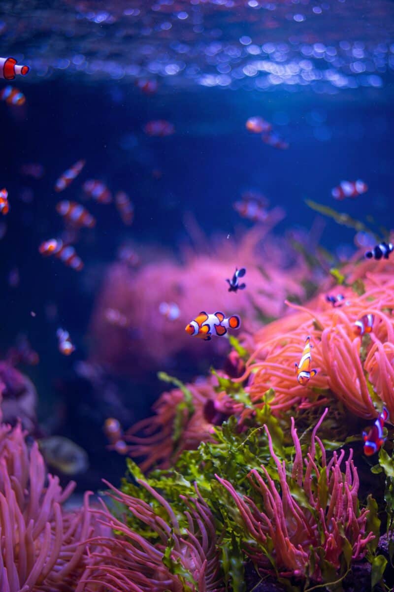 manu-R0bxZ4w9NGE-unsplash