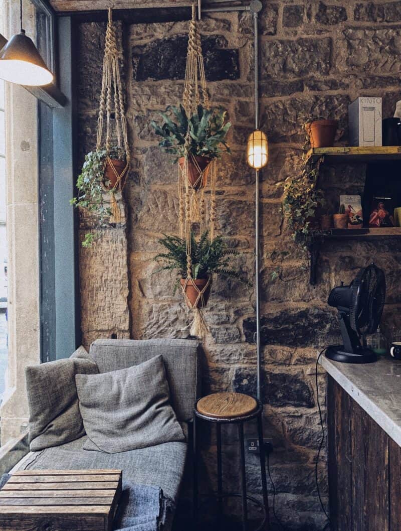 Cozy hostel lounge with hanging plants, stone wall, and comfortable seating at St Christopher’s Berl.